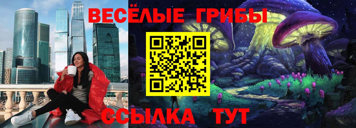 Псилоцибиновые грибы мухоморы Изобильный