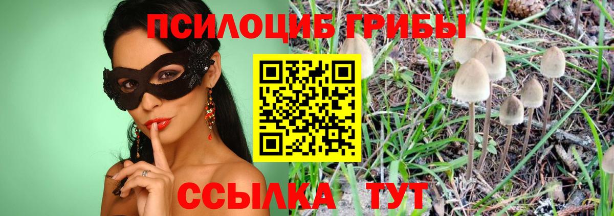 Галлюциногенные грибы MAGIC MUSHROOMS  Вход с VPN  Изобильный 